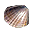 İstridye.png