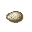 Örümcek Yumurta Kesesi.png